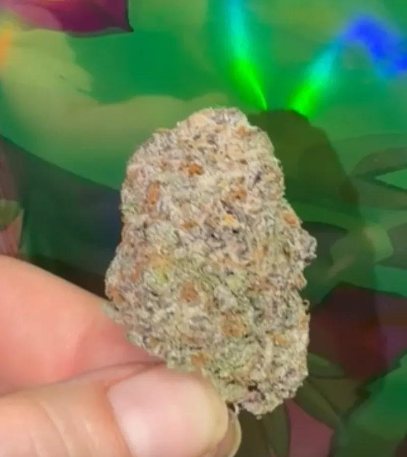 Grape